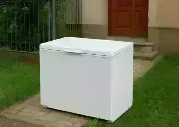 Фризер изчезна от двор в Монтана