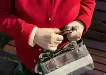 Жена обра столичанка на пазар във Вълчедръм