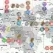 Лекари и учители са най-търсените специалисти в област Монтана