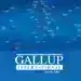Край на партньорството между „Gallup“ и „Галъп интернешънъл“ – България
