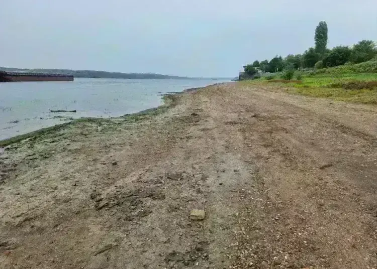 Дунав при Лом се стопи до 84 сантиметра, показаха се острови насред реката /снимки/
