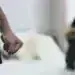 Пореден случай! Мъж преби жената, с която живее, до тежко състояние, тя е в реанимация в монтанската болница
