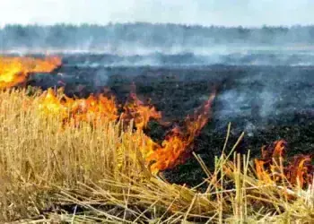 Пожарът в „Клисура“ край Чипровци овладян, изгорели са вили