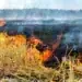 Пожарът в „Клисура“ край Чипровци овладян, изгорели са вили