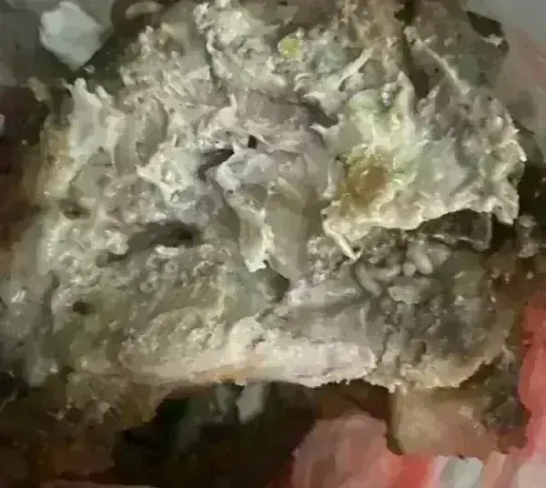 Ужас в Монтана! Жена купи пържола с червеи от заведение за храна, собственикът отрича /снимки/
