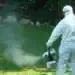 Започва пръскане срещу кърлежи и бълхи в Лом и селата от общината