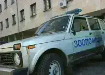 Полицията в Монтана разследва случай на открита мъртва котка