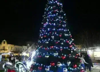 Лом запали светлините на коледната елха с празничен концерт