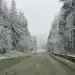 Сняг на Петрохан - прохода е проходим, но при зимни условия
