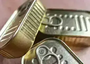 Фабрика за консерви от африкански сом изграждат край Лом