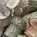 Жителка на Лом засечена с незаконни дърва без документи