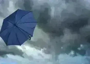 Вятърът вилня в района на Вършец, токът спря в няколко села