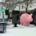 „Прасето“ вече e в Монтана в рамките на национално гражданско турне /снимки/