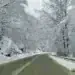 Пътищата в област Монтана са проходими при зимни условия /снимки+видео/