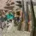 Откриха незаконни огнестрелни оръжия в къща в Монтанско
