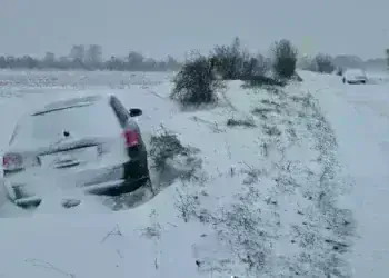 Кола се завъртя и катастрофира на Е-79 край Монтана