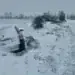 Кола се завъртя и катастрофира на Е-79 край Монтана