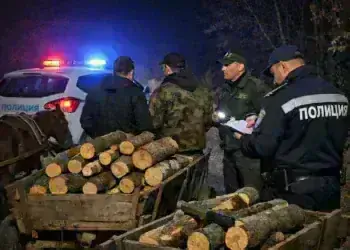 Двама мъже от Вирове заловени с незаконни дърва за огрев