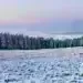 Риск от заледявания в Монтана и региона – 17.01.2026