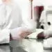 Нова козметична фирма ще бъде изградена в Монтана с фокус върху натурални продукти