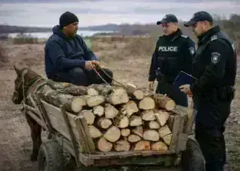 Заловиха двама мъже с незаконно превозвани дърва в землището на Горни Цибър