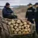 Заловиха двама мъже с незаконно превозвани дърва в землището на Горни Цибър