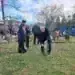 Денят на лозаря и винаря събра музика, танци и аромат на вино в Вършец