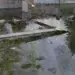 Възмущение в Лом! Гробищният парк под вода, хората бесни: „Това е унижение!“