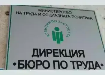 Обявиха 15 свободни места за висококвалифицирани кадри в Монтанско, вижте кои са