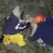 Драма край язовир „Огоста“! Пожарникари спасиха куче и стопанката му от преливника