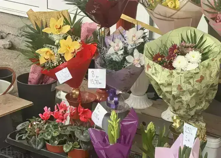 Колко струват цветята за 8 март: проверихме цените по сергиите