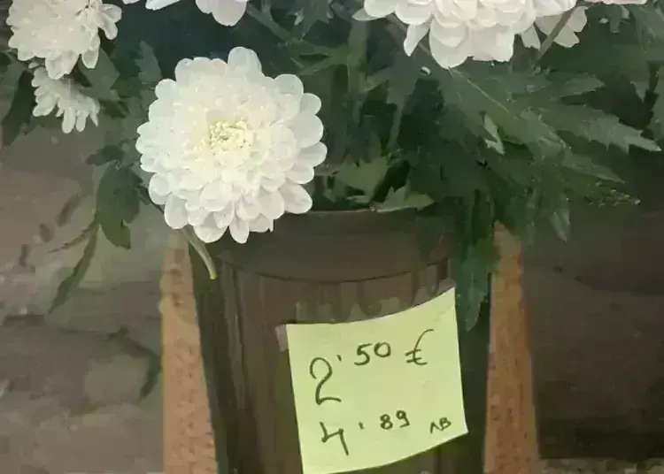 Колко струват цветята за 8 март: проверихме цените по сергиите