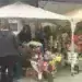 Колко струват цветята за 8 март: проверихме цените по сергиите