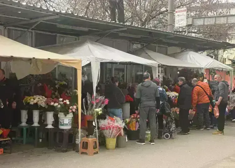 Колко струват цветята за 8 март: проверихме цените по сергиите