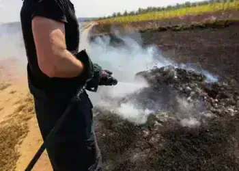 Гасиха пожар в сухи треви край Горна Лука