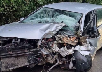 Смело сърце! 16-годишен подкара нередовен „Голф“ в Монтанско и катастрофира, отнесе редица глоби